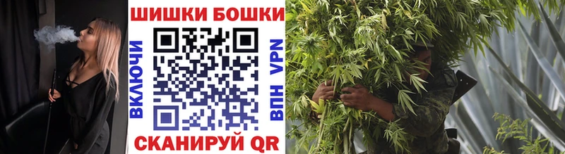 Бошки Шишки планчик  Подпорожье 